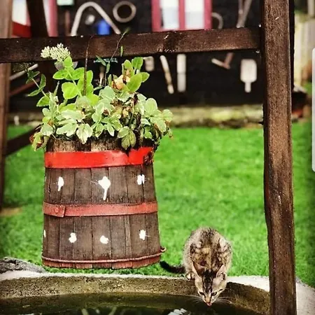 Apartmán Sarganska Osmica