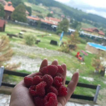 Sarganska Osmica *