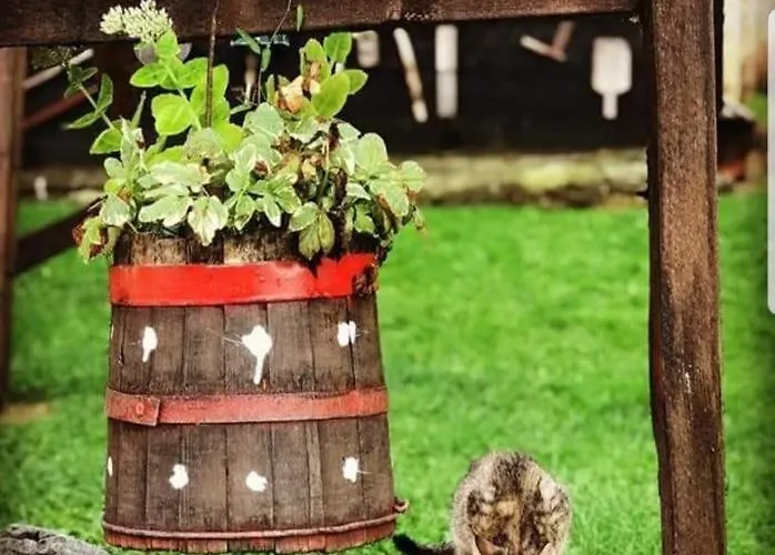 Apartman Sarganska Osmica